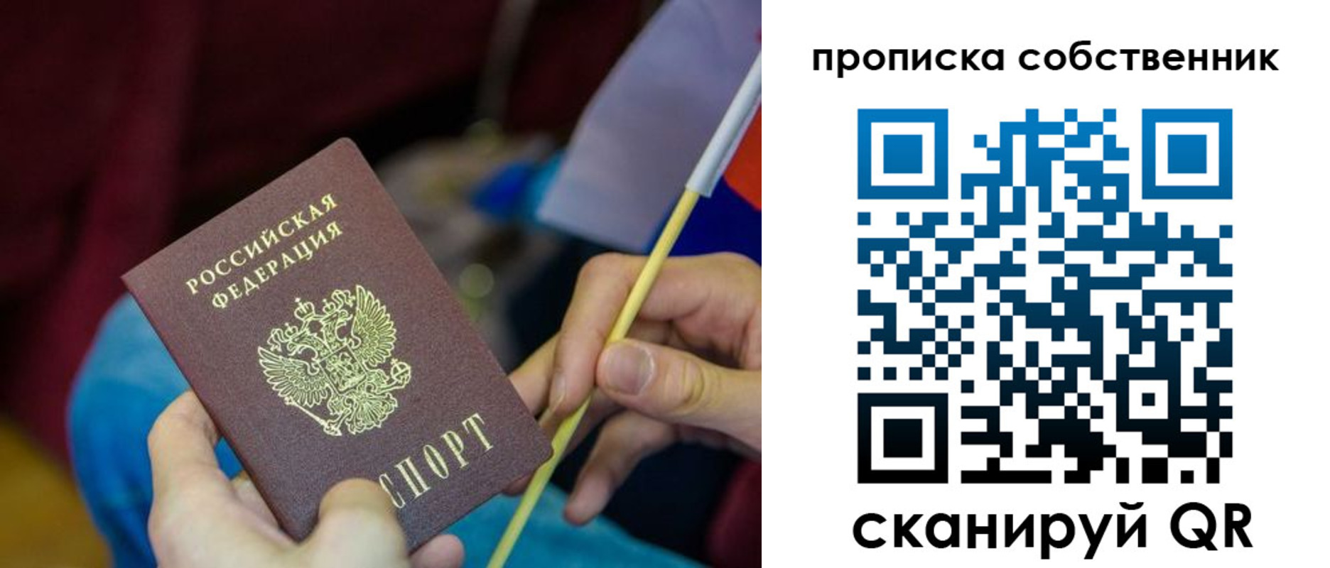 прописка в Лесном